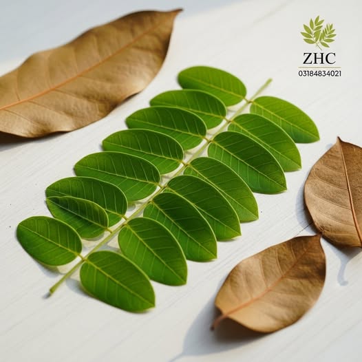 کرنجوہ کے پتے (Karanjwa Leaves)