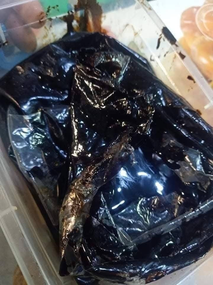 Majoon Muqavi Sultan Course