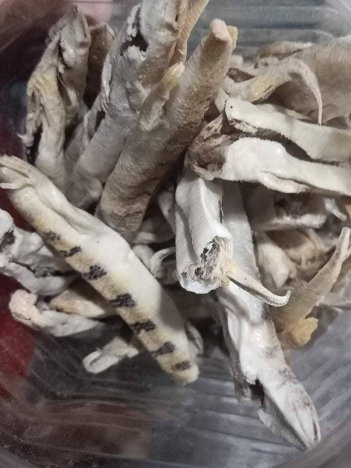 Majoon Muqavi Sultan Course