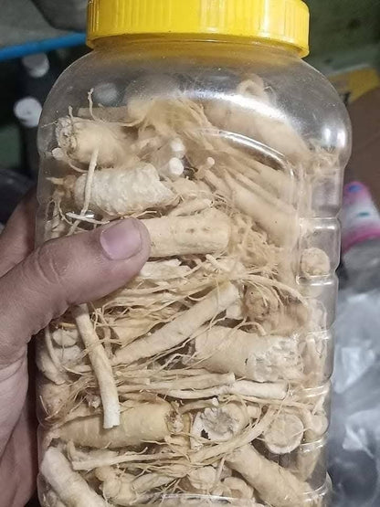 Majoon Muqavi Sultan Course