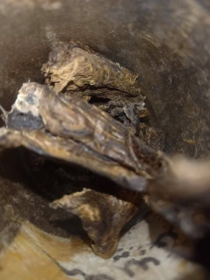 Majoon Muqavi Sultan Course