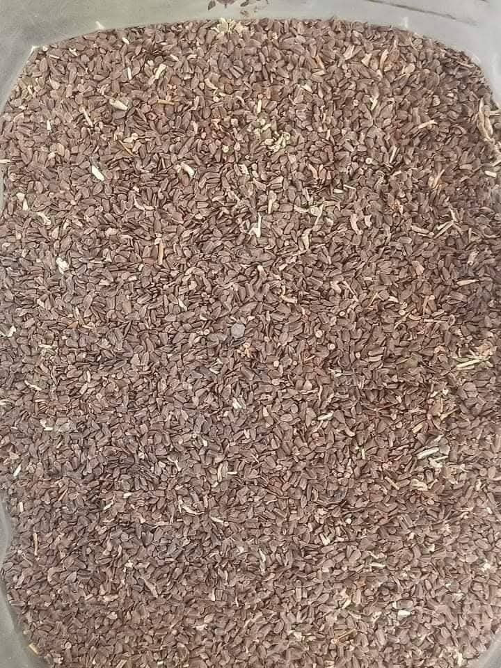 Majoon Muqavi Sultan Course