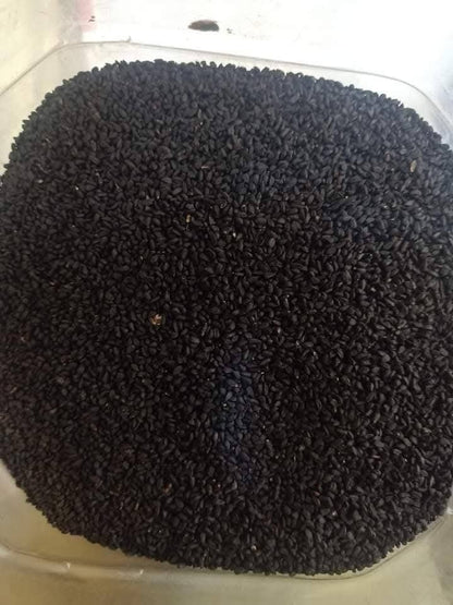 Majoon Muqavi Sultan Course