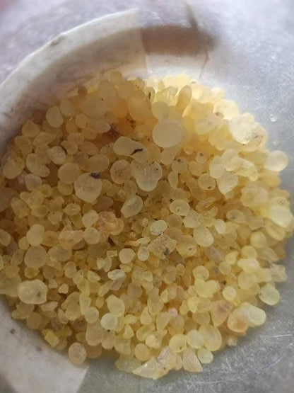 Majoon Muqavi Sultan Course