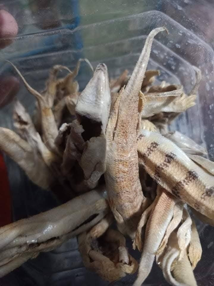 Majoon Muqavi Sultan Course